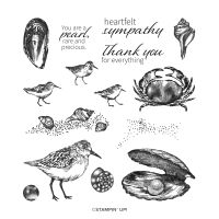 Seaside Bay Cling Stamp Set (English)