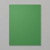 Garden Green 8-1/2" X 11" Cardstock Garden Green 8-1/2" X 11" Cardstock