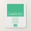 Shy Shamrock Classic Stampin Pad