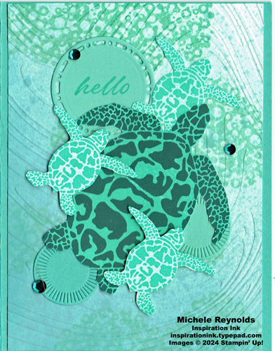Sea turtle monochromatic catalog CASE watermark