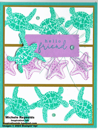 Sea turtle triadic catalog case watermark