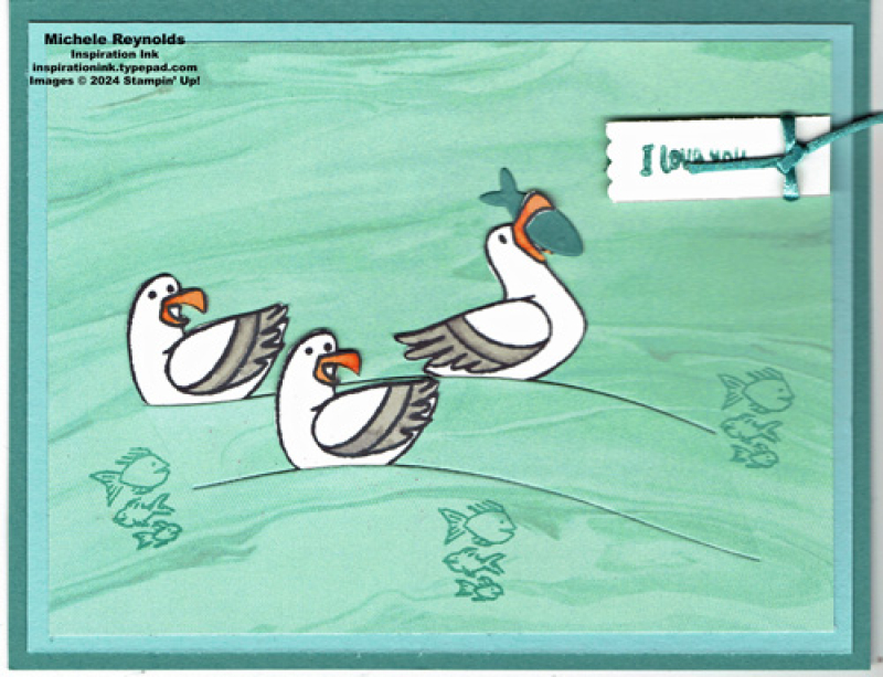 Friendly seagulls floating birds watermark