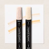 Stampin’ Blends Medium Light Combo Pack