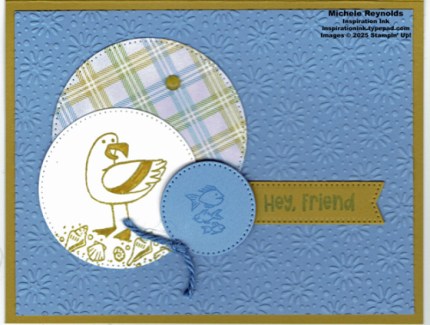 Friendly seagulls hey friend circles watermark