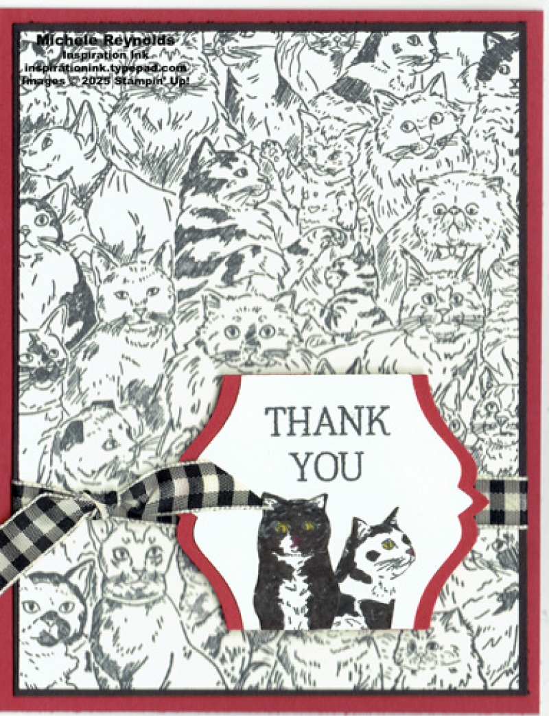 Meow mates thank you kitties watermark