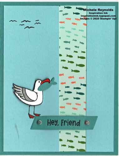 Friendly seagulls fish friends watermark