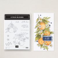 Citrus Blooms Cling Stamp Set (English) [ 163286 ]