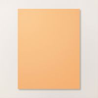 Peach Pie 8 1/2" X 11" Cardstock [ 163799 ]