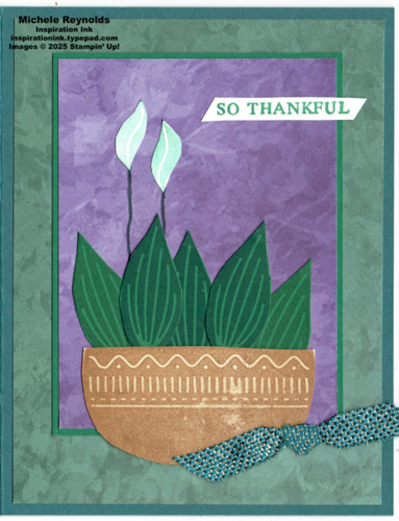 Planted paradise peace lily thanks watermark