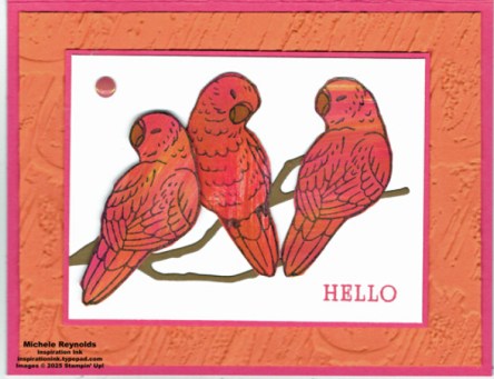 Feathered fun fiery parakeets watermark