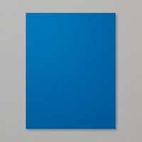 Blueberry Bushel 8-1/2" X 11" Cardstock [ 146968 ]