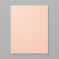 Petal Pink 8-1/2" X 11" Cardstock [ 146985 ]