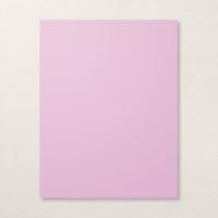 Fresh Freesia 8 1/2" X 11" Cardstock [ 155613 ]