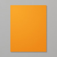 Pumpkin Pie 8-1/2" X 11" Cardstock [ 105117 ]