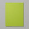 Granny Apple Green 8-1/2" X 11" Cardstock [ 146990 ]