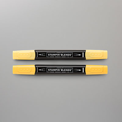 Daffodil Delight Stampin' Blends Combo Pack [ 154883 ]