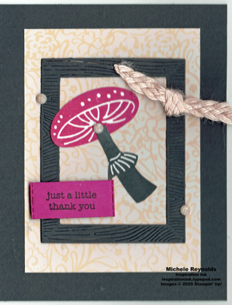 Terrific toadstools framed shroom watermark