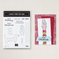 Long Time No See Photopolymer Stamp Set (English) [ 166189 ]