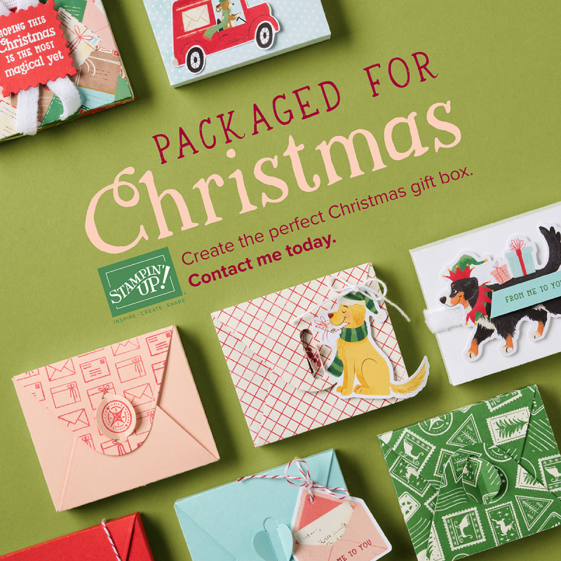 Packaged for christmas